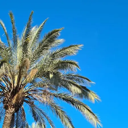 Ellies Hus Malaga